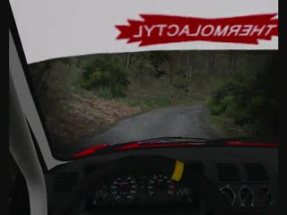 RSRBR - Zac - Peklo -205 GTI Gr N