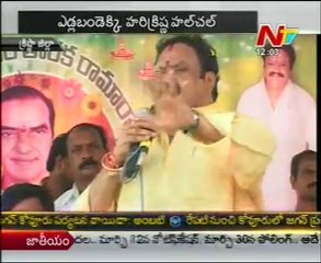 Nandamuri Harikrishna tour  in Krishna district