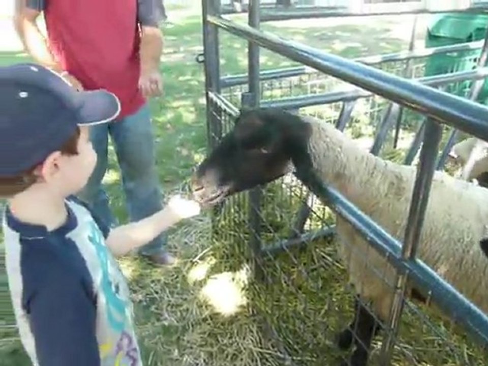 2011 : ALAMEDA COUNTY FAIR -  023