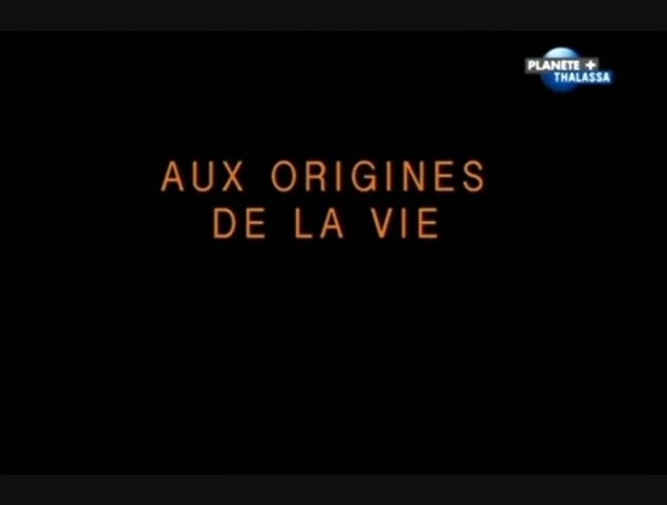 Aux origines de la vie