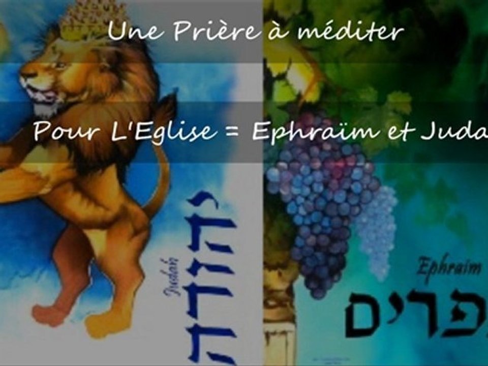 Une prière à méditer pour L'Eglise = Ephraim et Juda