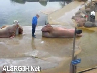Der Speck muss weg - ein langer Weg zuSix-Packs1