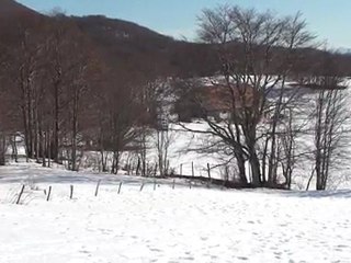 29 02 002 Loups Plans d'Hotonnes