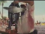 Outboard Motor - Extrait Outboard Motor (Anglais)