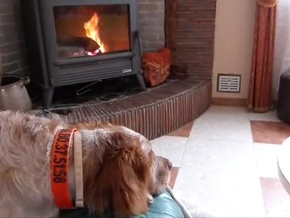 la petite flambée