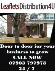 Leaflets Distribution 4 U