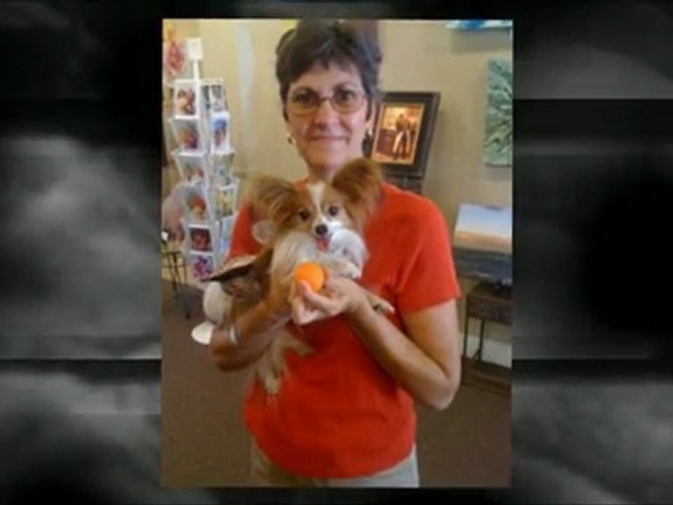 Dog Sitters | El Dorado Hills  Dog Sitters| 916-802-6923