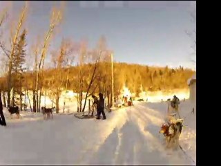 balade en chiens de traineaux