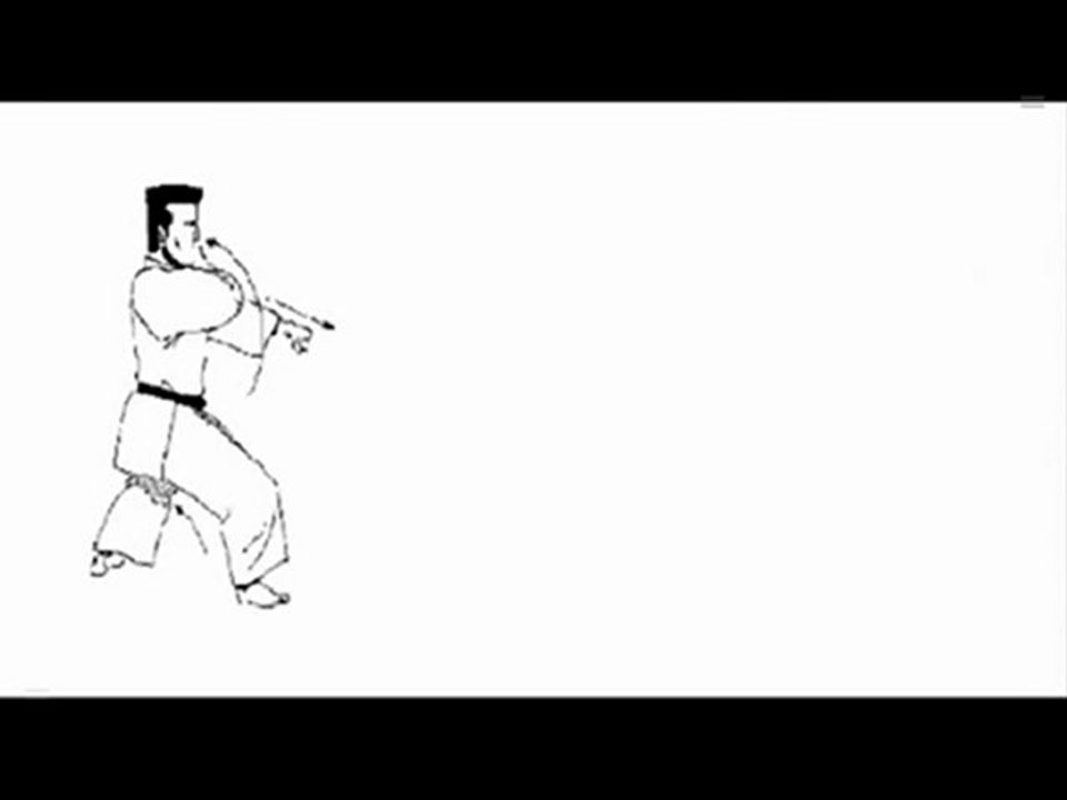 Tai jitsu Ryu Kata Shodan_ Nidan & Sandan