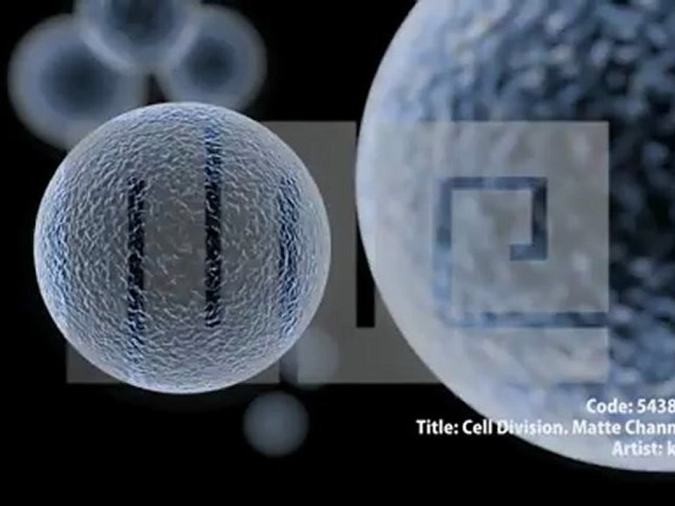 CG動画素材『細胞』/ Royalty-Free Cell Division Animation MotionElements.com