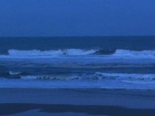 Lundi 05 Mars - Surf report vidéo 7H30