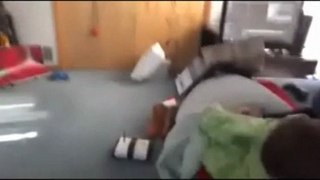 Ninja Cat Backflips While In A Paper Bag