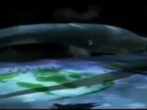 Vor 36 Millionen Jahren - Basilosaurus - Monster der Tiefe - Teil 5 von 9