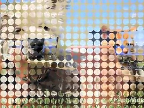 Century Palm Valley Apartments in Round Rock, TX - ...