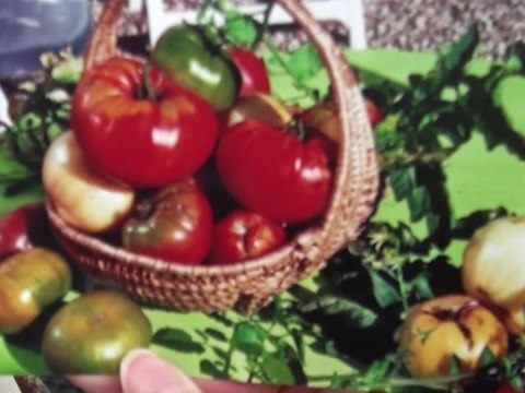 Partage de connaissances : La peinture chez la famille Gallone