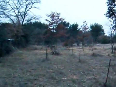 tour de vérif aprés débroussaillage