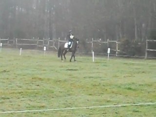 Dressage du CCE de Beaumont, Simbad et Gwen, poney 2