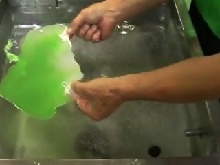 Comment fabriquer une salade au Japon ?