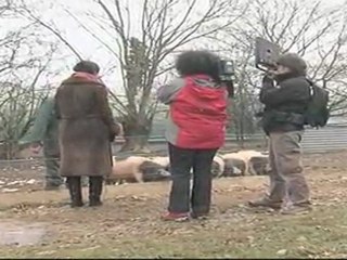 CULS NOIRS - MARCHÉ DE LIMOGES