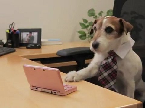 Uggie, le chien de The Artist , héros d'un spot de publicité