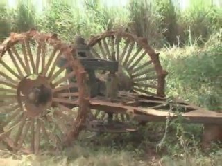 Via Mulher do dia 03-03-2012