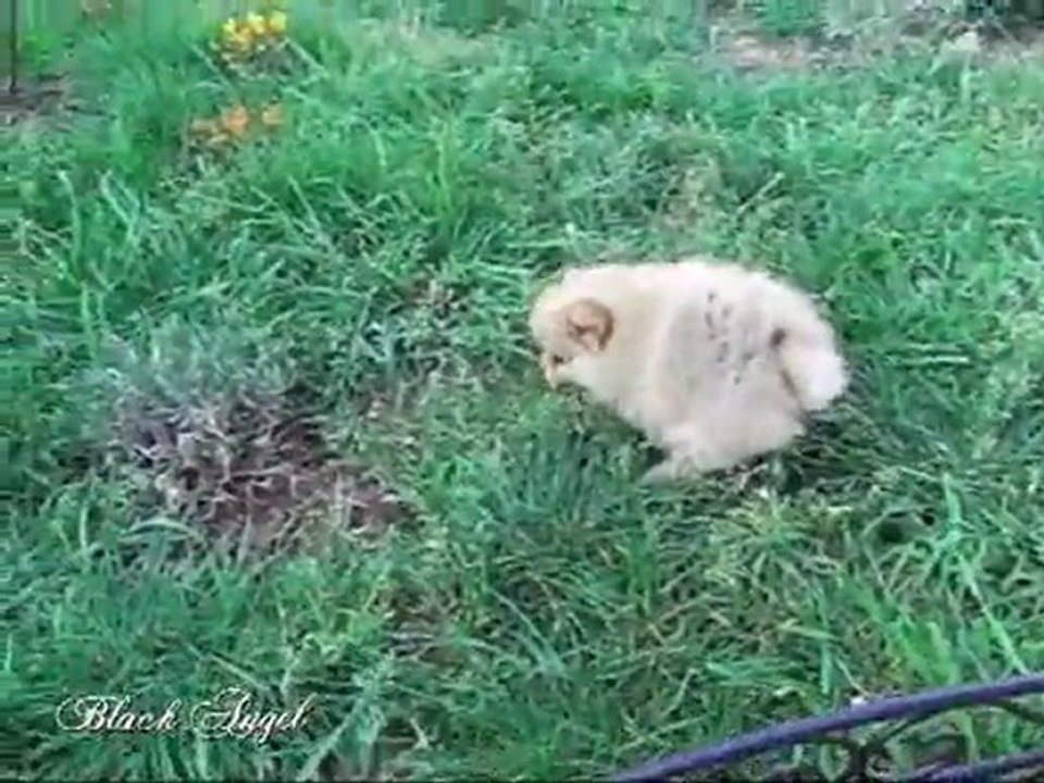 Grâce a son arrivée