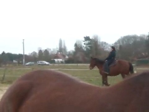 27.02.2012.zq.tenebra.cours