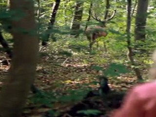 Bande annonce A pas de loup - Au cinéma le 11 avril 2012