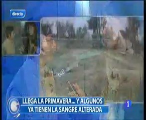TVE en Bioparc Valencia - "Los animales están en plena época de reproducción"