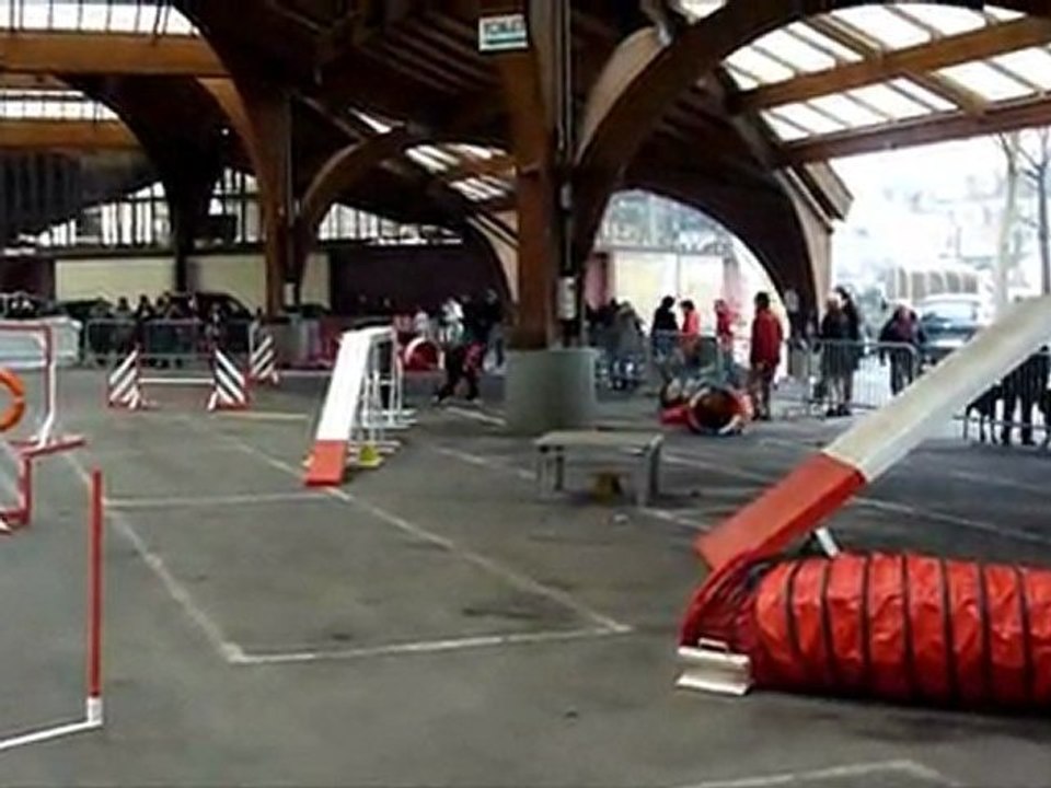 brive mars 2012