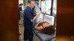 Sarasota Chiropractor Provides Low Back Pain Relief