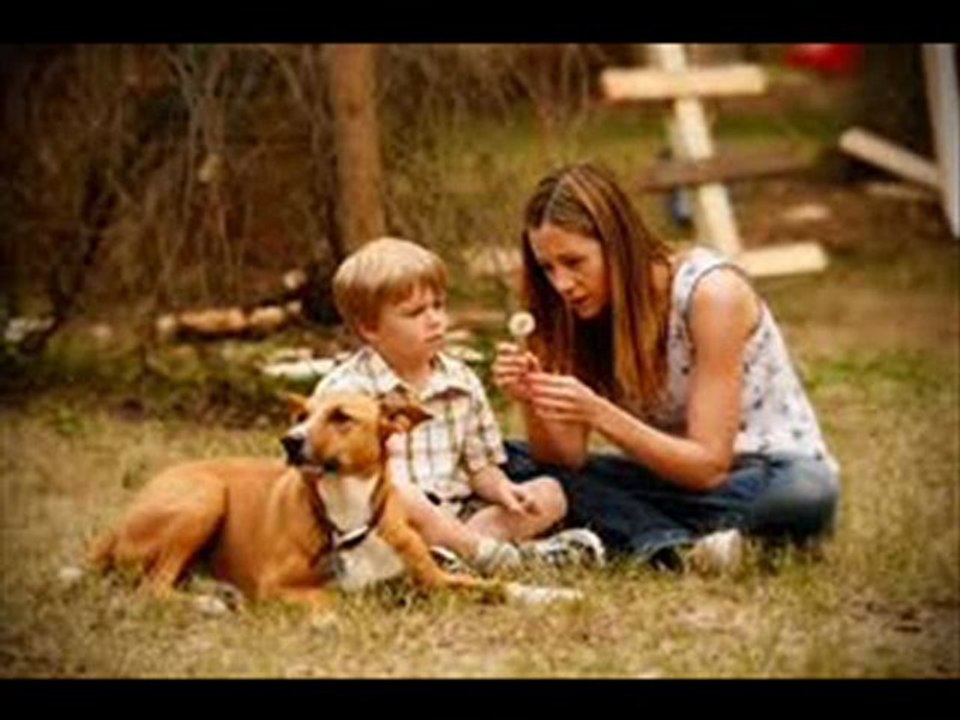 Like Dandelion Dust Part 1 of 12 Full Movie