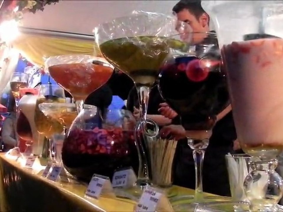 Donauinselfest 2011 1/2