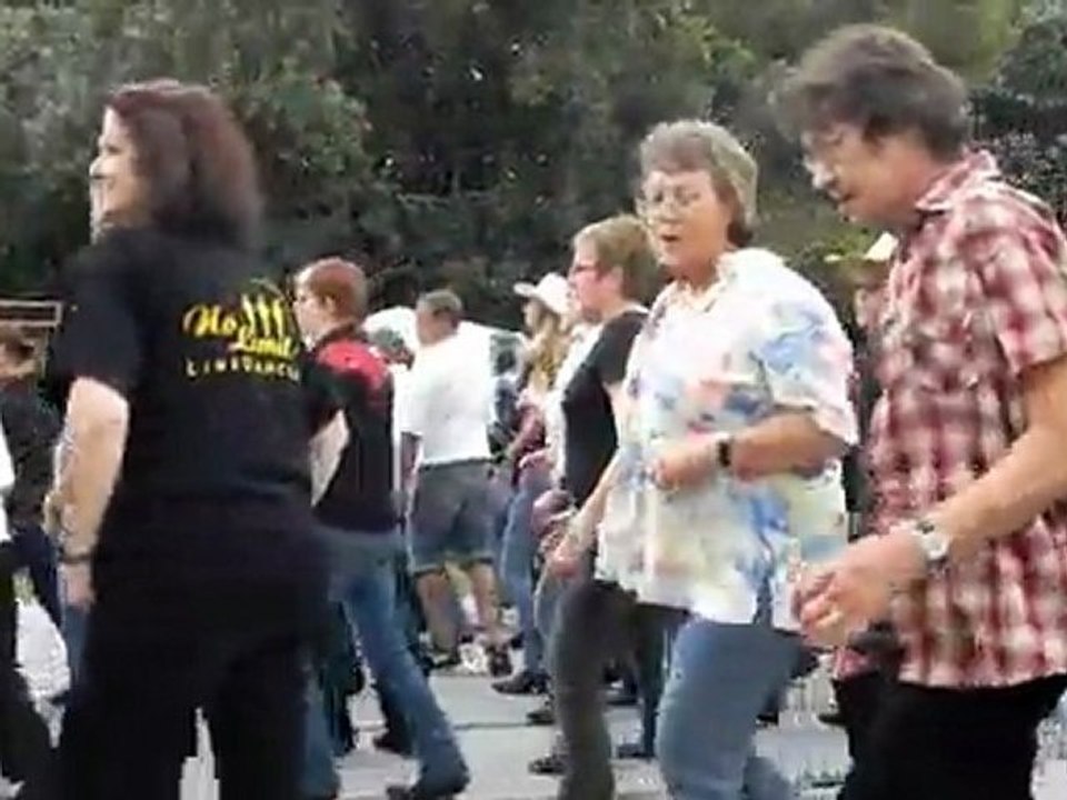 Donauinselfest 2011 2/2