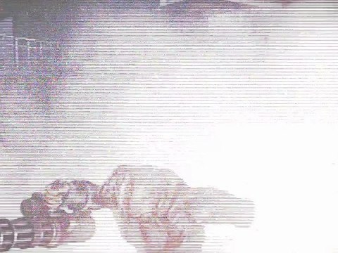 Resident Evil : Operation Raccoon City - Nemesis Mode