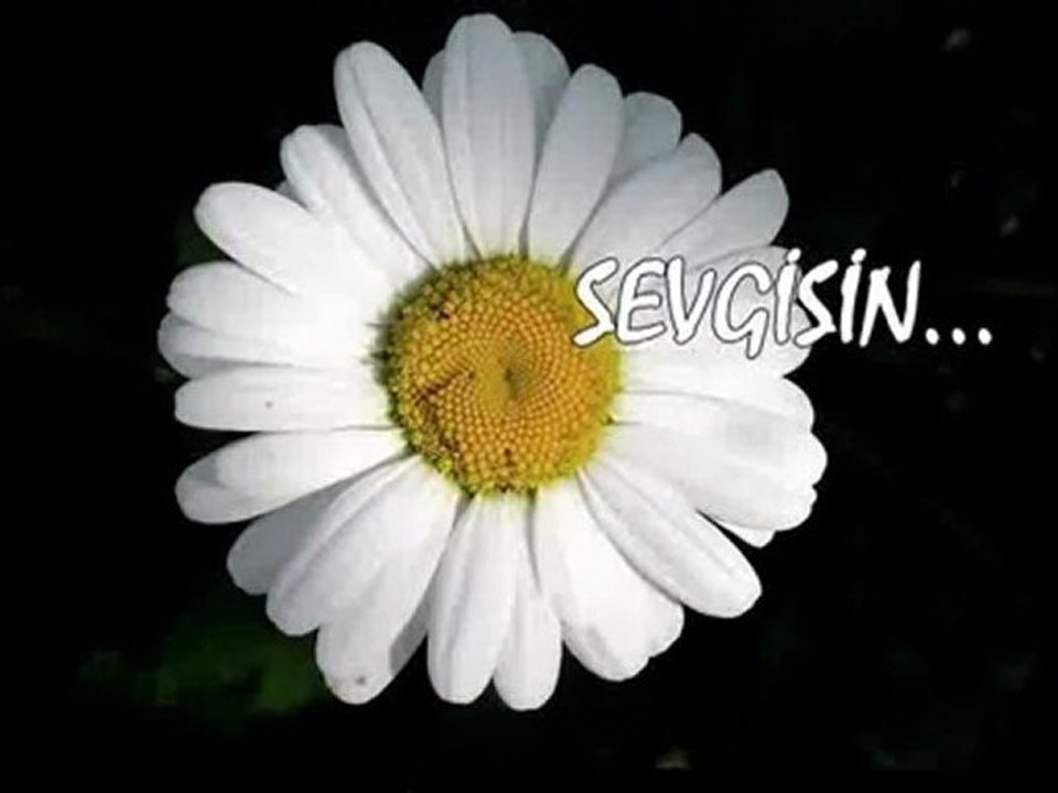 Ayşegül Durukan -- Sen her gece düşün ki seni seven biri var