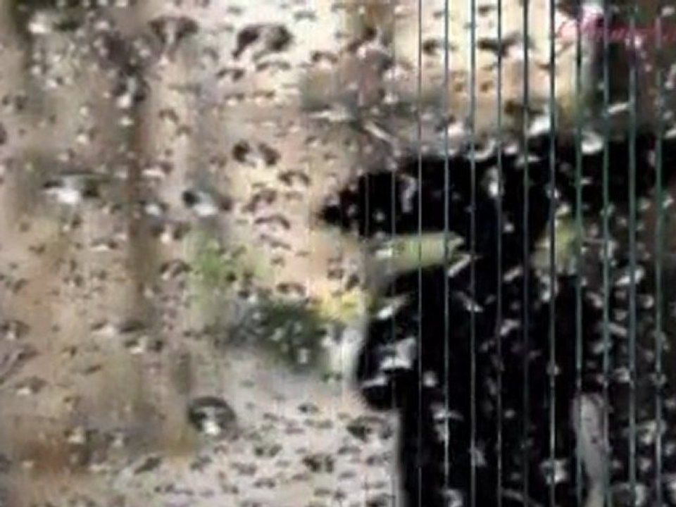 Yağmurdan sonra - Denizhan ALKAN