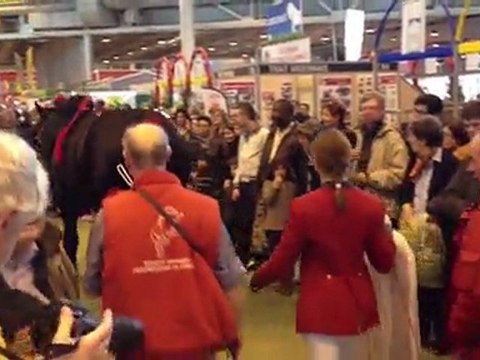 SIA 2012 : Chevaux de trait