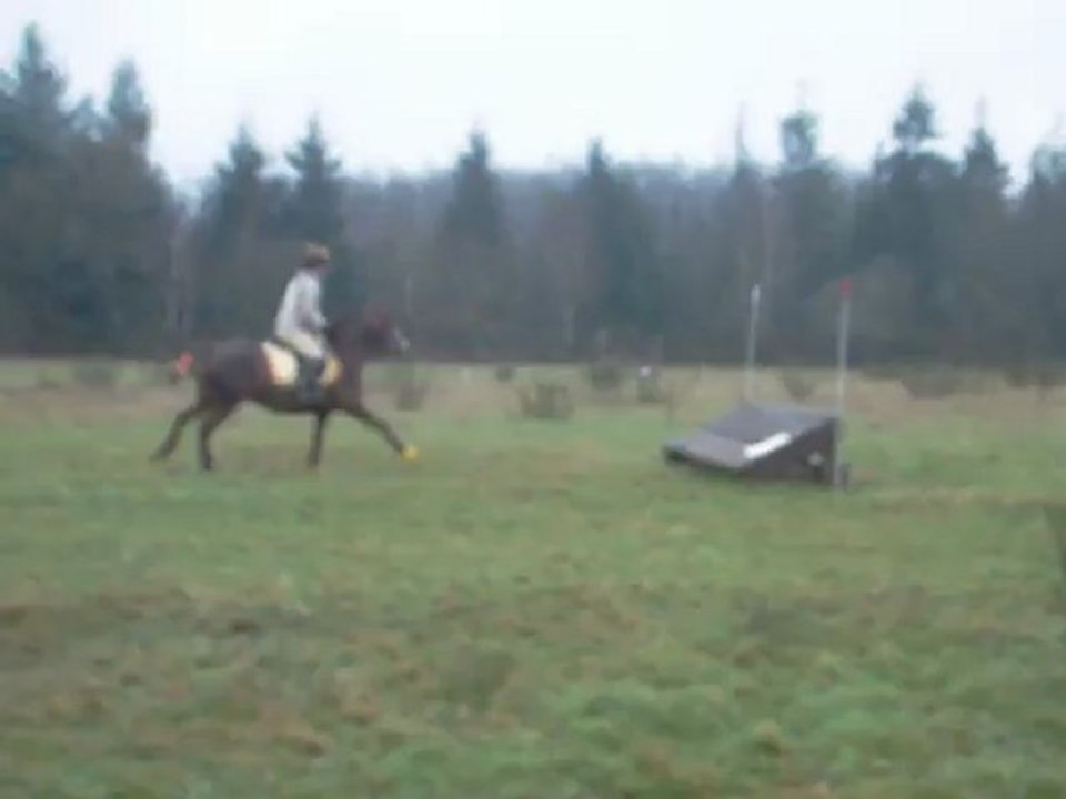 CCE Beaumont combi 4