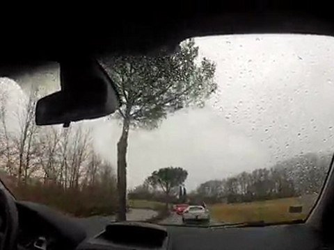 Rasso megane Toulouse