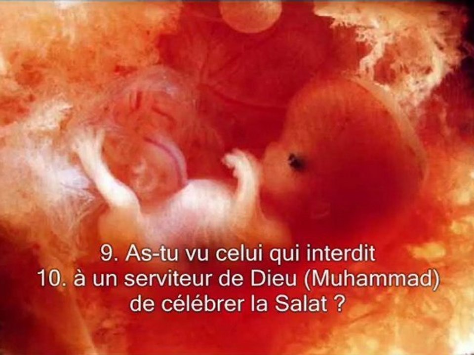 Sourate 96. L'adherence (Al-Alaq) Traduction en Français