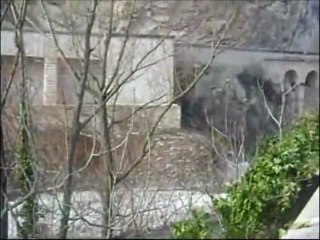 Tangerine Dream. Lily On The Beach.