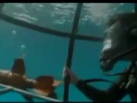 Vor 4 Millionen Jahren - Megalodon - Monster der Tiefe