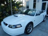 Used 2002 Ford Mustang Pompano Beach FL - by EveryCarListed.com
