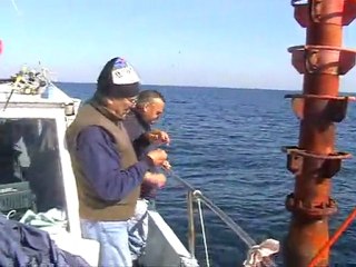 Sortie du 28 février 2012