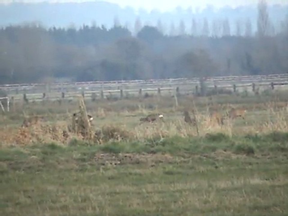 M2U01213