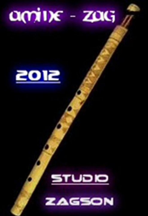 TABRIHA~~~AMINE-ZAG~~~~~~2012