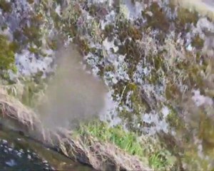 Prise de vue subaquatique à Barbeauland