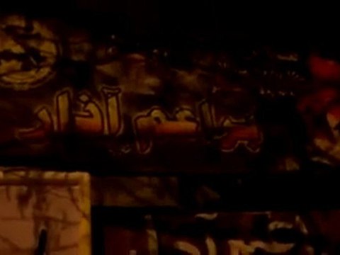 فري برس دمشق حي القصور تشويه صورة المجرم بشار5 3 2012