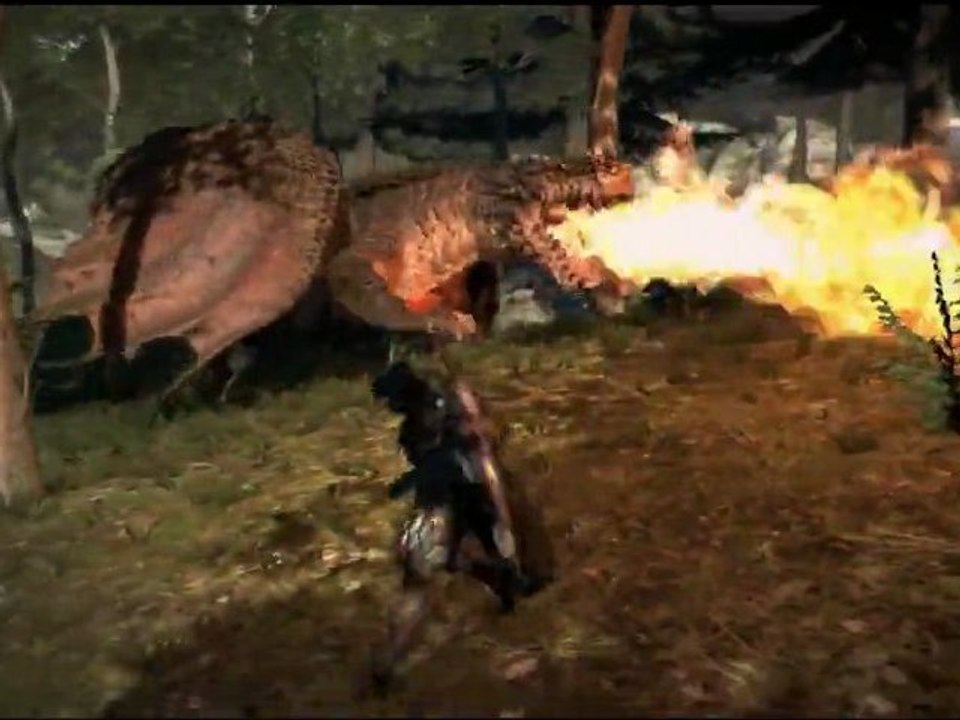 Dragon's Dogma (PS3) - Drake Battle